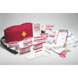 任天堂 - FARST aid kid First aid essentials: How to be prepared for emergencies for