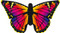 HQ Butterfly Kite Ruby "R"