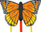 HQ Butterfly Kite Monarch Regular