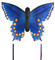 HQ Butterfly Kite Swallowtail Blue Large