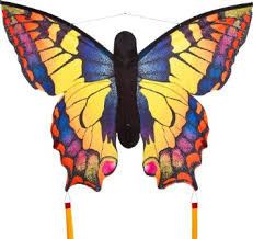 HQ Butterfly Kite Swallowtail Large