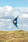 HQ Yukon Cool Dual Line Stunt Kite Flying