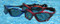 SeaSpec Sunglasses