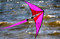 Prism Micron Stunt Kite Flying