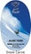 Indo Board Trainer Package Snow Carve