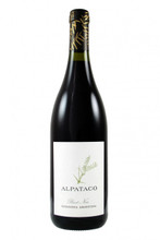 black cherry, redcurrant, summer fruit and plenty of power