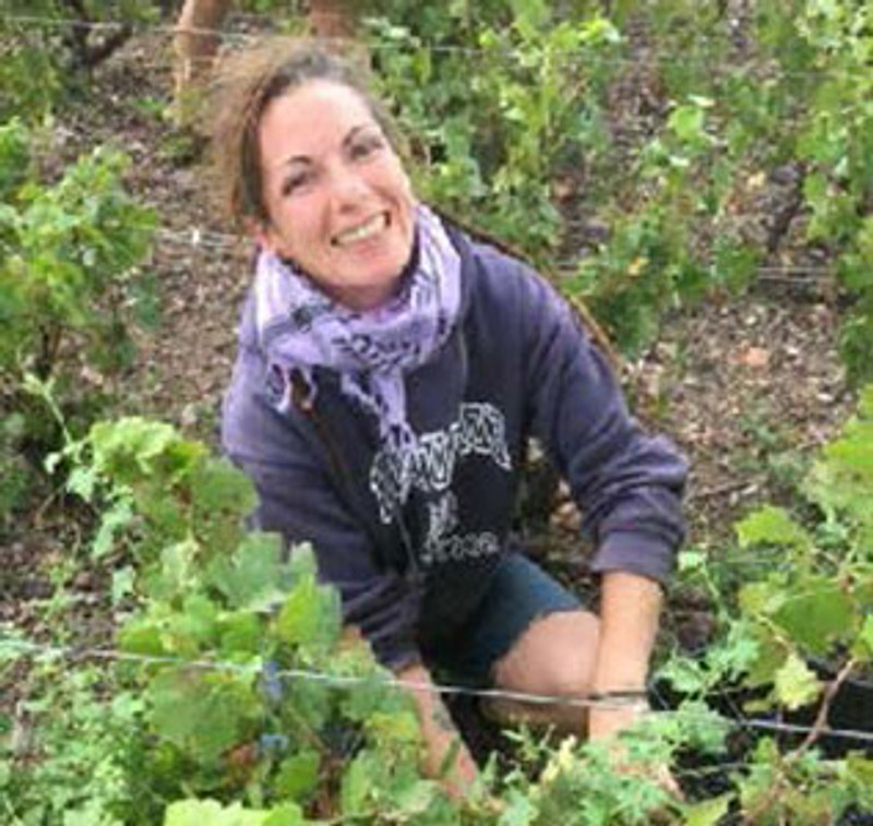 Expect a wonderful vintage from Beaujolais in 2017