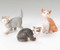 Fontanini nativity ~ 3 piece set 5" cats with story card. 3 styles. 5" scale Polymer. Gift Box