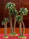 One Palm tree to complement the Three Kings Real Life Nativity. One tree only! Three sizes to choose from. Palm trees to complement the 7", 10" Standard, or the 14" Deluxe Three Kings Real Life Nativity.  Measurements: 8 1/4"H, 11 7/8"H and 14 1/4"H.