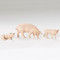 Fontanini 5" scale figure of a three piece Pig Family. A  new edition to the 5" scale nativity. A great piece to add to your 5" nativity scene!! Made of polymer