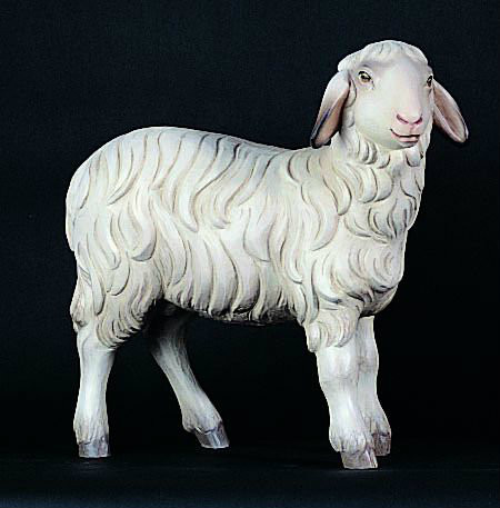 Standing Sheep 1902/13-Fiberlgass or Lindewood Standing Sheep comes direct from world famous "Art Studio Demetz" in Italy. These Fiberglass or Lindenwood figures have remarkable detail and are all hand painted by our Italian artists. Each Sheep is sold SEPARATELY
