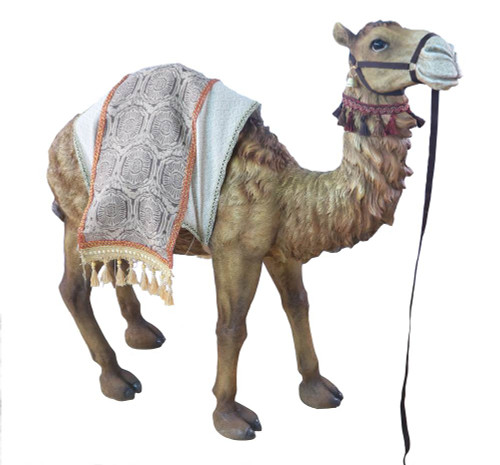 This beautiful 42"H standing camel complements the 39" Heaven's Majesty Nativity Set. The standing camel is made of fiberglass and resin. The standing camel is suitable for indoor and outdoor use.  Dimensions: 42" Height - 37" Length - 14" Width