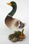 16" Heaven's Majesty Nativity Mallard Duck - The mallard duck is made of fiberglass and resin. this duck is suitable for indoor and outdoor use. This 16in. mallard duck is the perfect piece to add to your 39" Heaven's Majesty Nativity Set (item #53398). 