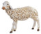 16.700"H Standing Sheep, Nativity Figure 50 Inch Scale 