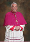 This is the official portrait of Archbishop of Philadelphia Nelson Perez. This unframed portrait is available in two sizes;  11" x 14"  image or 16" x 20" image.  