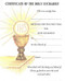200CM First Communion Certificate - 100 Per Box, 8" x 10".  The First Communion Certificates are available with or without plain white envelopes. Please specify when ordering. 