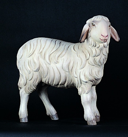 1950/13 Standing Sheep - Figurines are made of an indestructible white Carrara Marble, Fiberglass and Resine Polyester and are Hand Painted in Traditional Colors
Available in 18”, 24”, 30”, 36” and 48”
Animals in Proportion  
Please Contact us at 1-800-523-7604 for Pricing and More Information