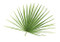 Mediterranean Fan Palm for Palm Sunday - Bag of 8. Shipped in plastic bags. See Care Instructions Below!  Check contents of box to make sure the order is correct.  To keep the palm strips fresh, do NOT open the plastic bags until you are ready to hand the palms out to the congregation. Keep Cool ~ Keep sealed bags of palms in a cool area. 40° F to 50° F - Do Not Freeze.  If you are not refrigerating their palms open each box and take three or four UNOPENED plastic bags of palms out of the box. When the palms are enclosed in plastic and packed in a box, heat may begin to build up in the box between the plastic bags. Any perishable plant material will begin to break-down if there is heat present.  By taking several bags out of each box, you allow the air to circulate more freely around the plastic bags left in the box which keeps the palms cooler and fresher.