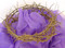 This authentic Crown of Thorns is crafted in Israel ~ A constant reminder of the promises Christ made to Christians around the world. The small Crown of Thorns measures approximately 8"- 10" in diameter. The larger crown is approx 12-13". The crown of thorns is a symbolic reminder of the suffering Jesus endured to redeem his people. Use as a centerpiece for  your home, for a Passion Play, a wall decoration or place atop a wooden olive cross, draped with a purple cloth for the ultimate statement. Wrapped in purple gift tissue and gift boxed with message scroll detailing the origins of the crown of thorns. This replica of the crown of thorns has been known to the region of many years. Its scientific name is Euphorbia Milli. This thick stemmed plant grows amidst the desert of Jericho and by the Dead Sea, 30 Miles from Jerusalem. This Beautiful ornamental plant, which has dense thorns, is said to have been used by Roman Legionaries to mock Christ at his Crucifixion. 