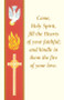 Confirmation Bulletin, Banner Style 100 Ct. 5 1/2" x 8 1/2" (folded) 100 per box.  Coordinating Certificate, Holy Card, Sponsor Folder and Bookmark Available

 