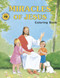 A fun and creative way for children to learn about the miracles of Jesus. Adapted from The Miracles of Jesus. St. Joseph Picture Book by Rev. Lawrence G. Lovasik, S.V.D., and illustrated by Paul T. Bianca. 8 1/2" x 11" ~ 32 pages