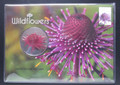 2015 - Wildflowers Medallion PNC/FDC - Limited Edition 4000