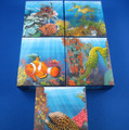 Australian Sea Life SERIES II THE REEF 5 Coloured Silver Proof Coin Collection