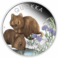 Australian Quokka 2023 $1 1oz Coloured Silver Proof Coin