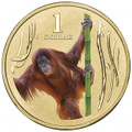 2012 Animals of the Zoo Series $1UNC Colour Printed Coin – Orang-utan