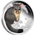 AUSTRALIAN BUSH BABIES II - POSSUM 2013 1/2OZ SILVER PROOF COIN 