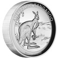 2013 $1 High Relief Kangaroo 1oz Silver Proof