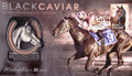 2013 - Black Caviar Medallion Cover