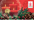 2013 CHRISTMAS  STAMP AND COIN COVER PNC