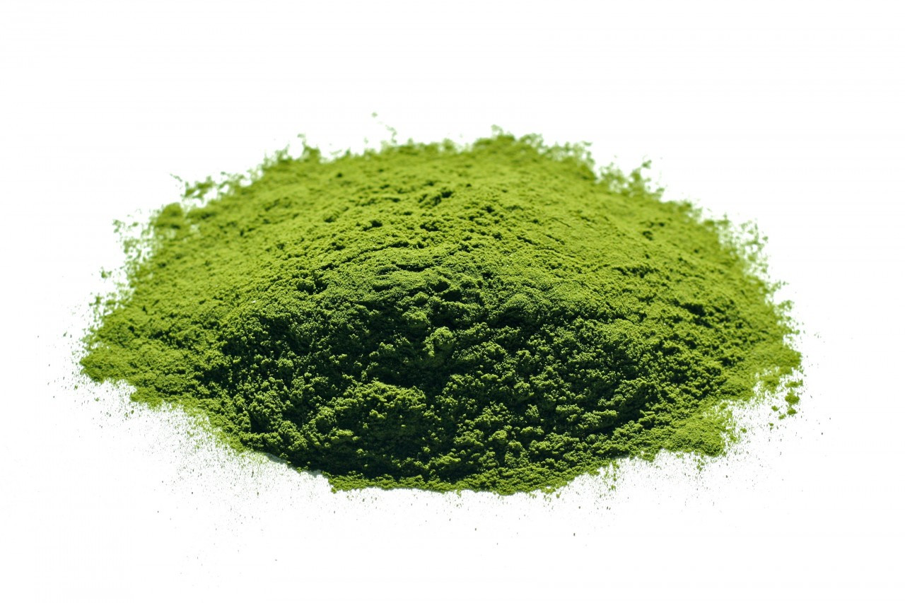 Image result for wheatgrass powder