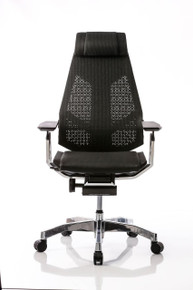 Mesh Office Seating Genidia Chair