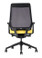 Interstuhl Joyce IS3 Mesh Back Task Chair JC211 / Black Base / Black Plastic Backrest / With Arms - Rear View