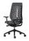Interstuhl Joyce IS3 Mesh Back Task Chair JC216 With FlexGrid / Black Base / Black Plastic Backrest / With Arms - Rear Angle View
