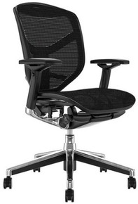Enjoy Elite Ergonomic Office Chair