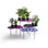 Offecct Green Pads Family with Plants