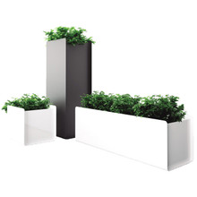 Systemtronic Crepe Planter Family