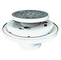 Shower Drain