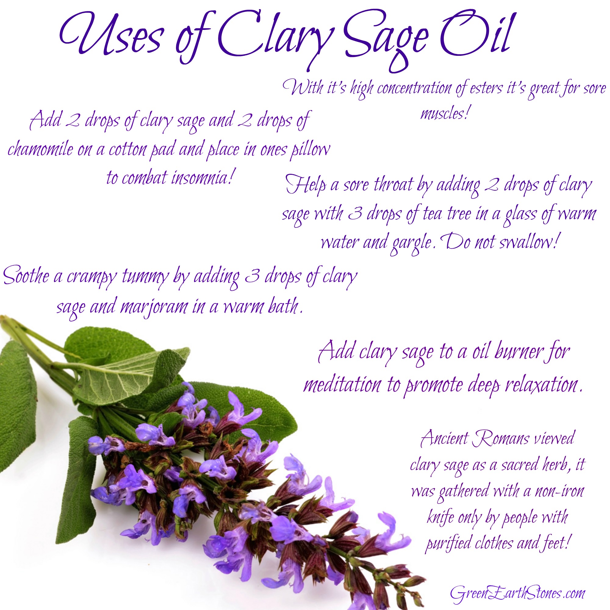 Uses of Clary Sage Essential Oil Green Earth Stones