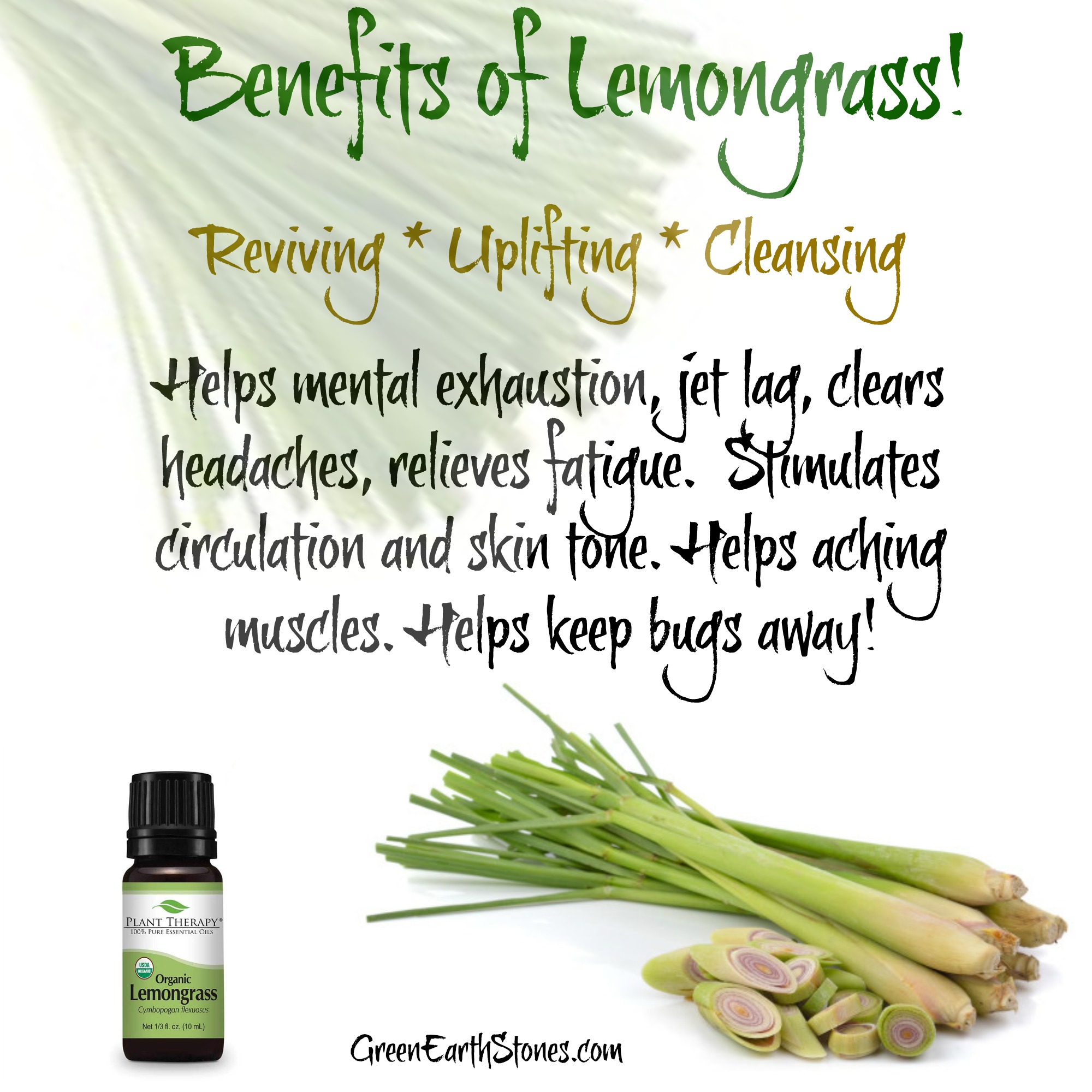 lemongrass-flyer.jpg