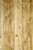 Random Groove Swampland Cypress pattern rustic wall paneling