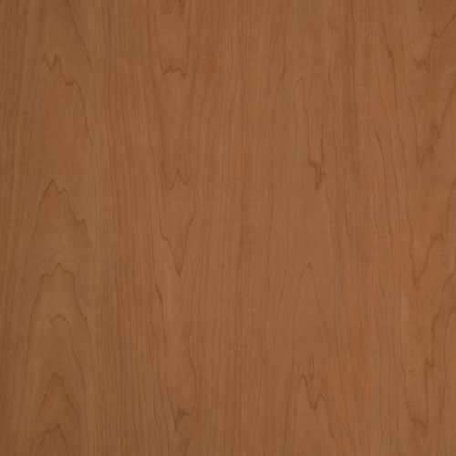 Plywood Paneling | Summit Maple | Library Panels