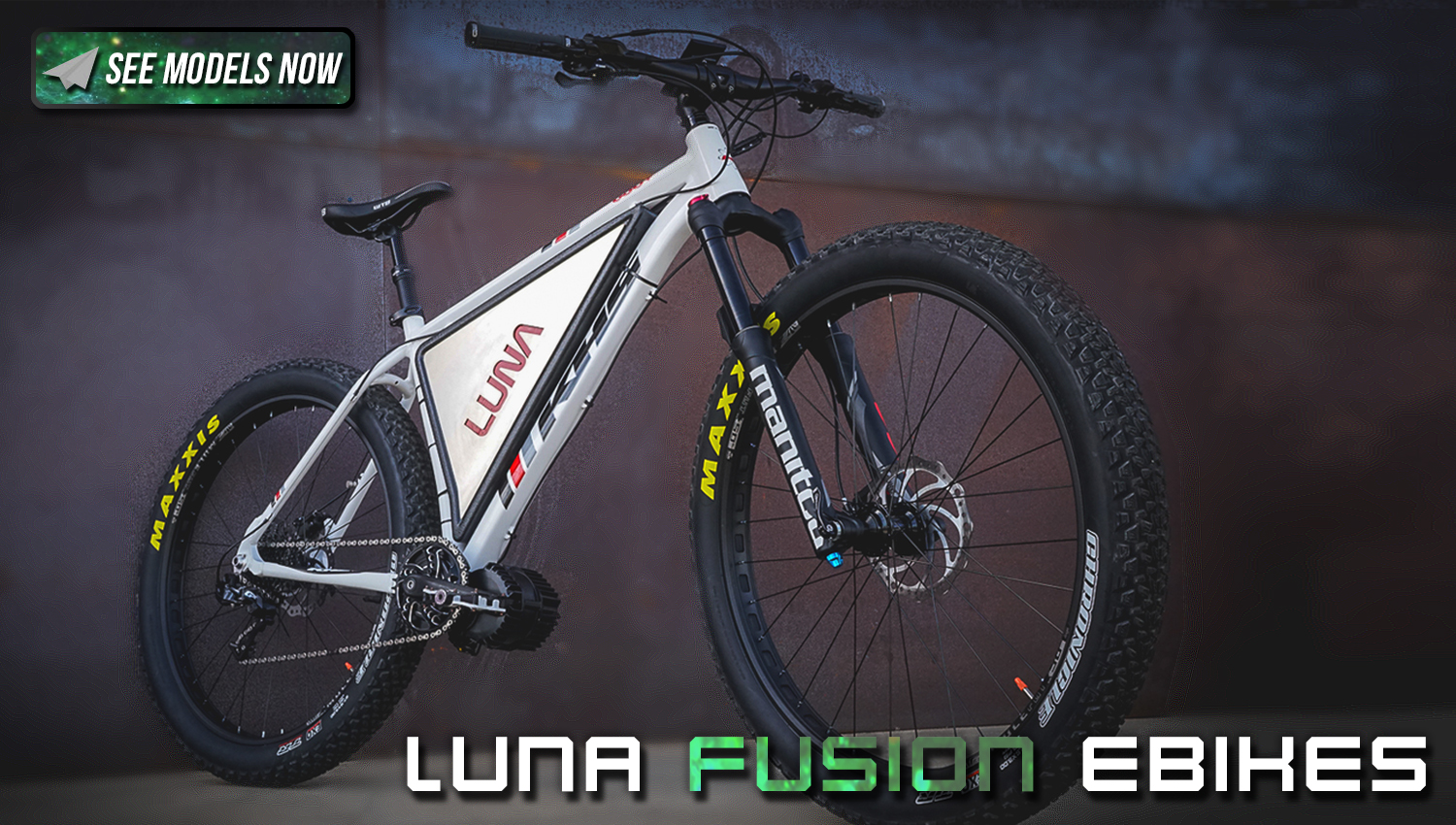 Luna Cycle Fast Ebikes and Electric Bike Kits