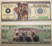 Yorkshire Terrier One Million Dollar Bill