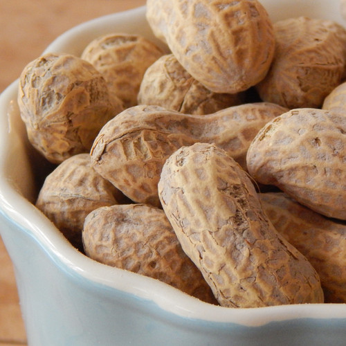 Roasted Peanuts in the Shell (Salted) 1 lb.