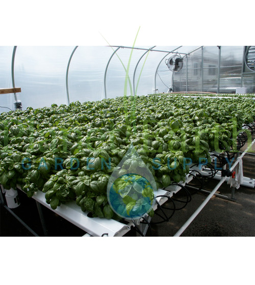 American Hydroponics Standard Commercial NFT Growing System 1152 Sites - Basil or Lettuce (AH93078HF)