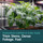 Drip Hydro Base A (330 gallon tote) in Bulk (4)